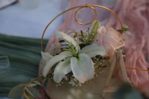 Aline CLADEL - TRIPLE ECLATS